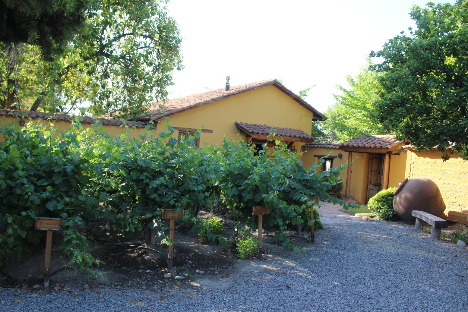 Wine, Wool, and Terroir in Los Andes | Chile Private Tour