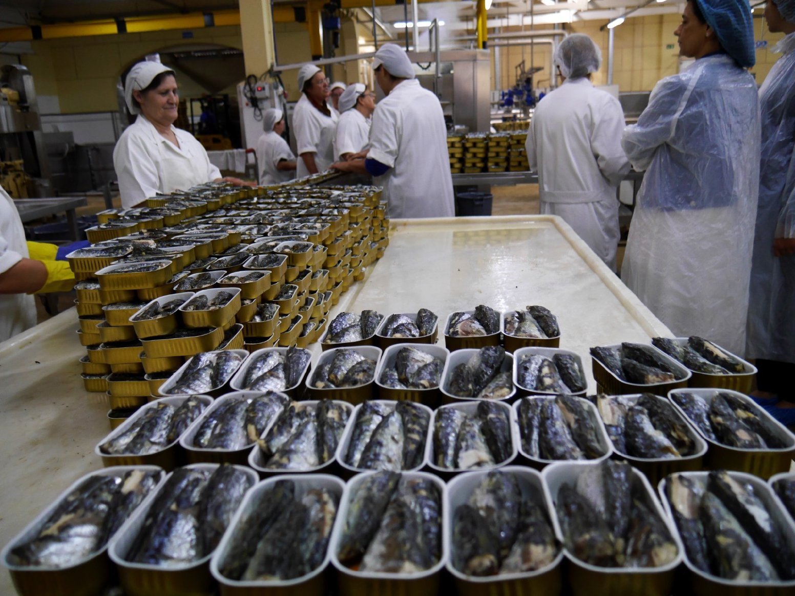 Fish: A Portuguese Love Affair in Matosinhos | Portugal Private Tour