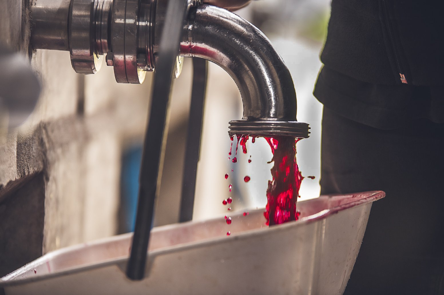 Pressed & Poured in Mendoza in Mendoza | Argentina Private Tour