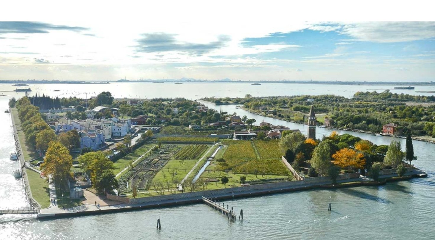 Secret Lagoon, Secret Vineyard in Venice | Italy Private Tour