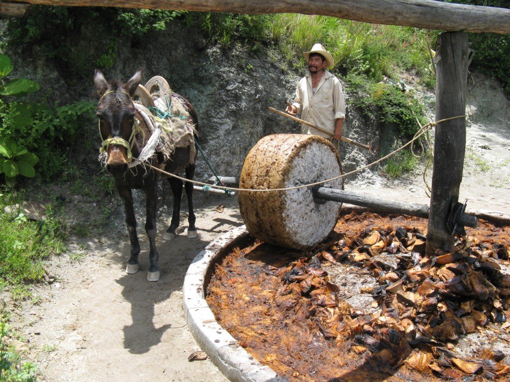Clay Pot Distillation in Oaxaca