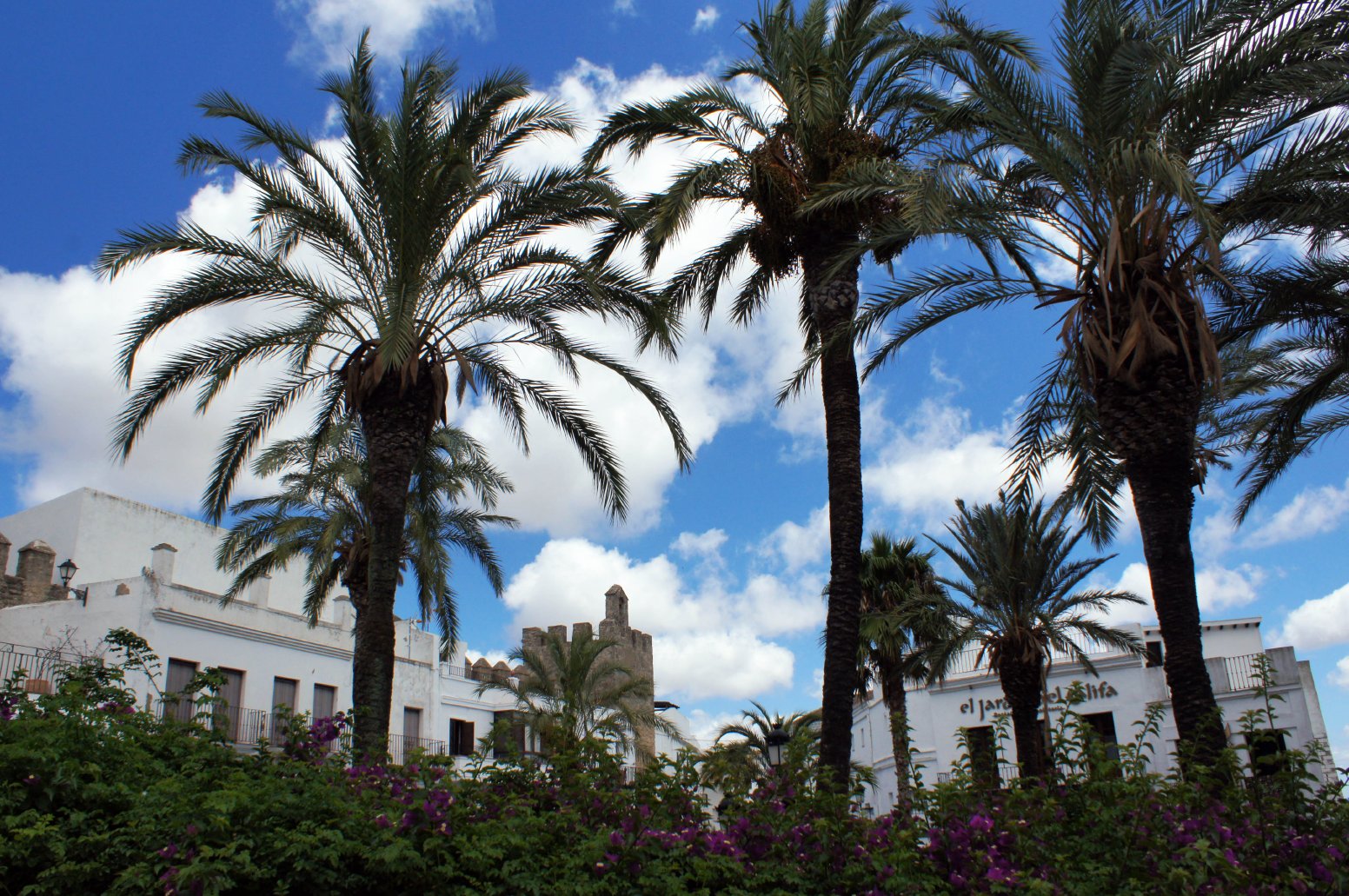 Eco-Winery & Cultural Tour in Vejer de la Frontera