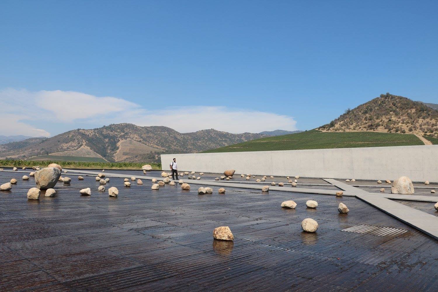 Millahue: Chile’s Golden Place in Santiago | Chile Private Tour