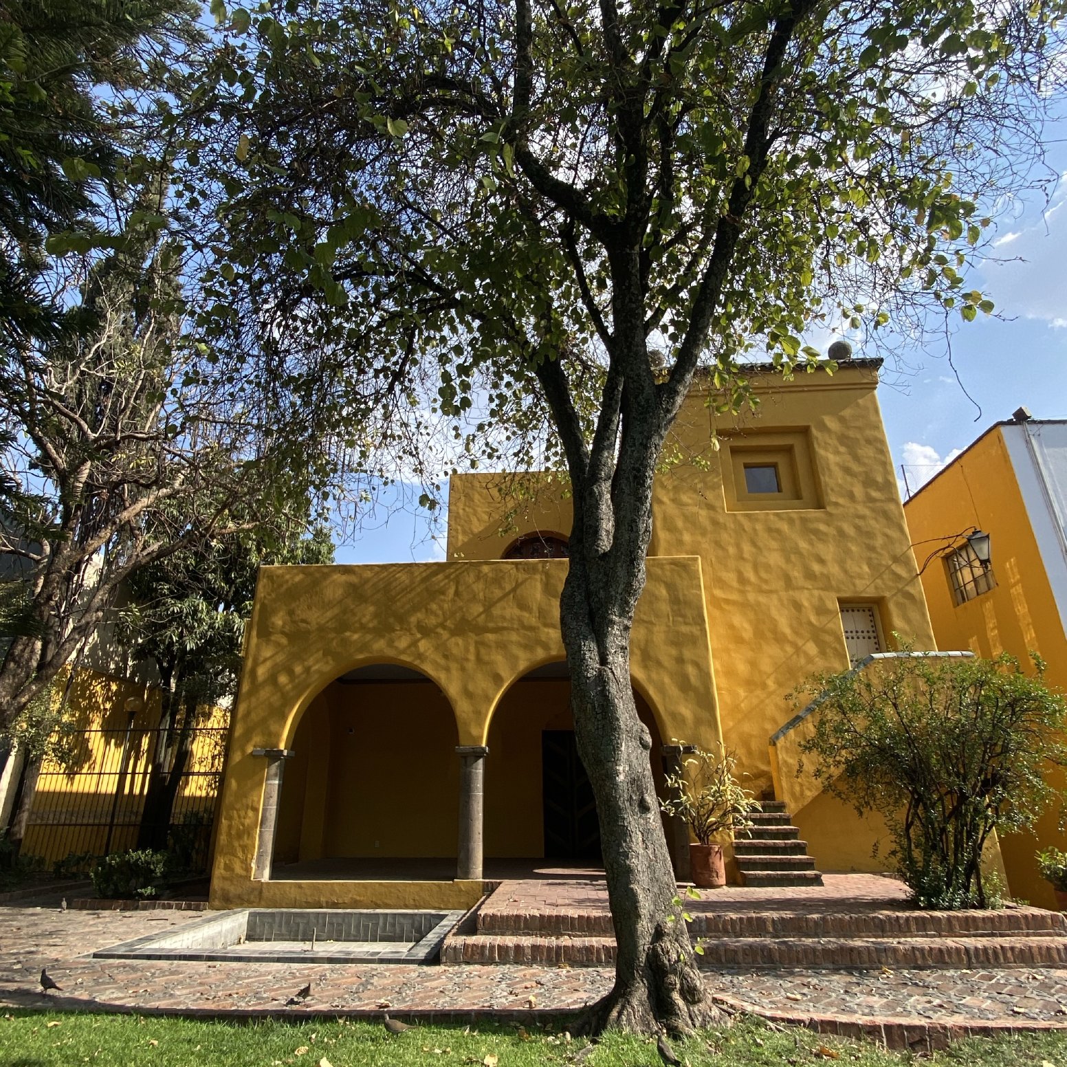 Guadalajara’s Palette & Palate in Guadalajara | Mexico Private Tour