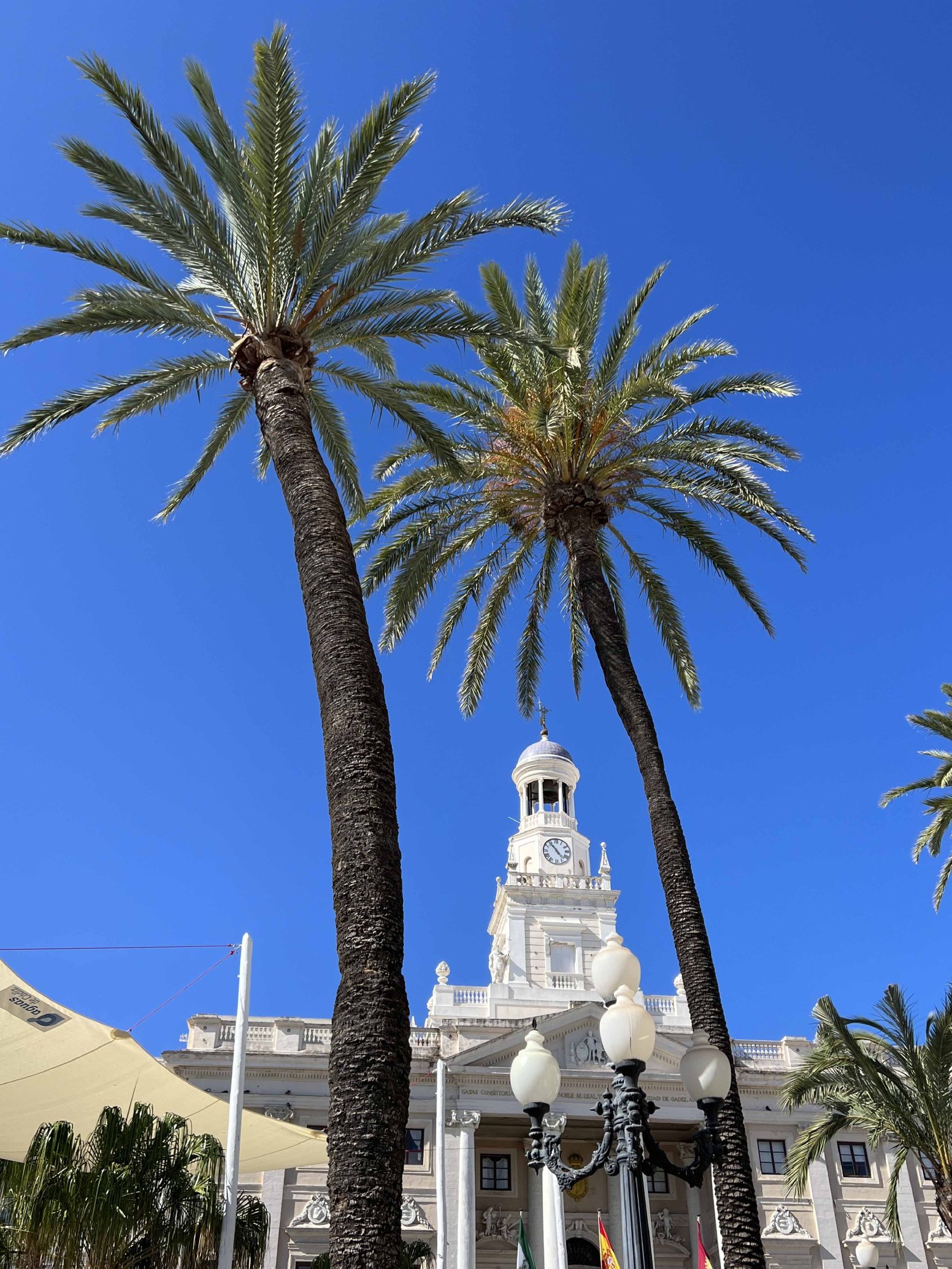 The Stories of Cádiz in Cádiz | Spain Private Tour