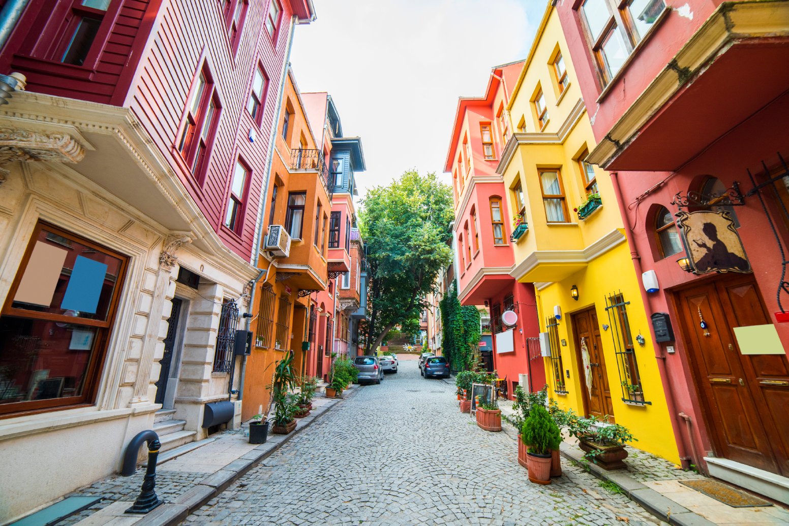 Meze by Minibus & More in İstanbul | Türkiye Private Tour