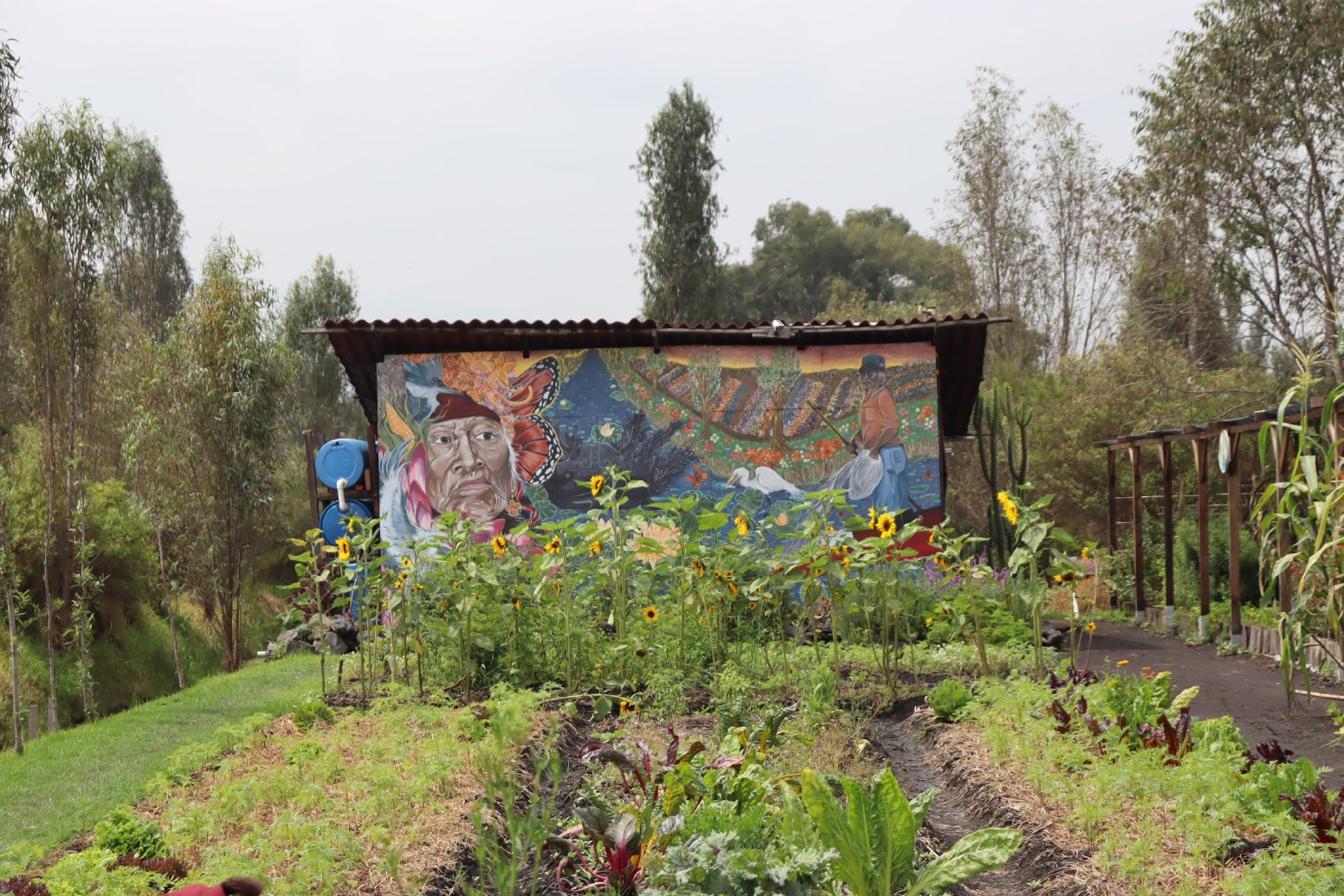 Cayuco to the Chinampa in Mexico City | Mexico Private Tour