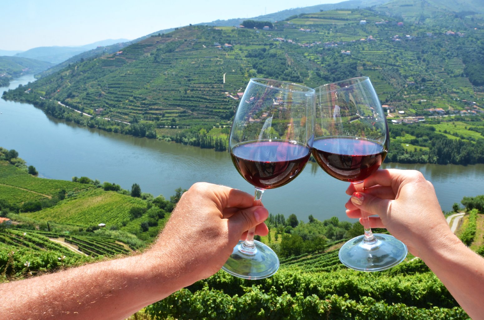 Built and Grown in the Douro in Vila Real | Portugal Private Tour