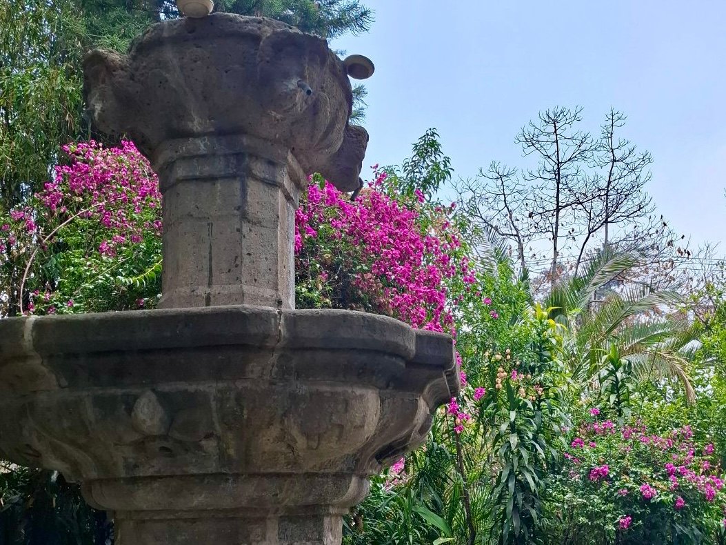 Bougainvillea & Baroque in Mexico City | Mexico Shared Tour