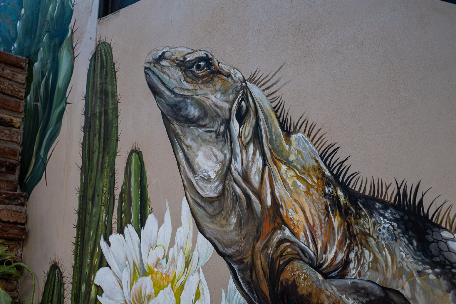 Meet the Yaqui of Sonora in Cócorit | Mexico Private Tour