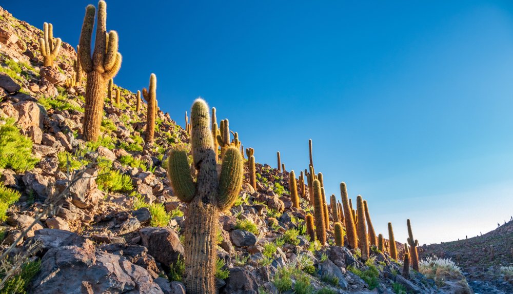 Fire & Water  in San Pedro de Atacama | Chile Private Tour