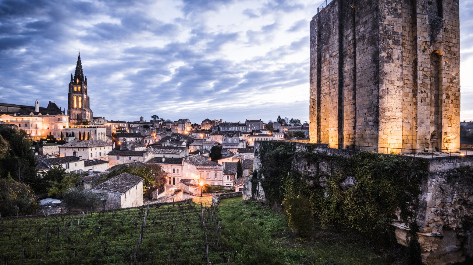 Vineways of Saint-Émilion in Saint-Émilion | France Private Tour