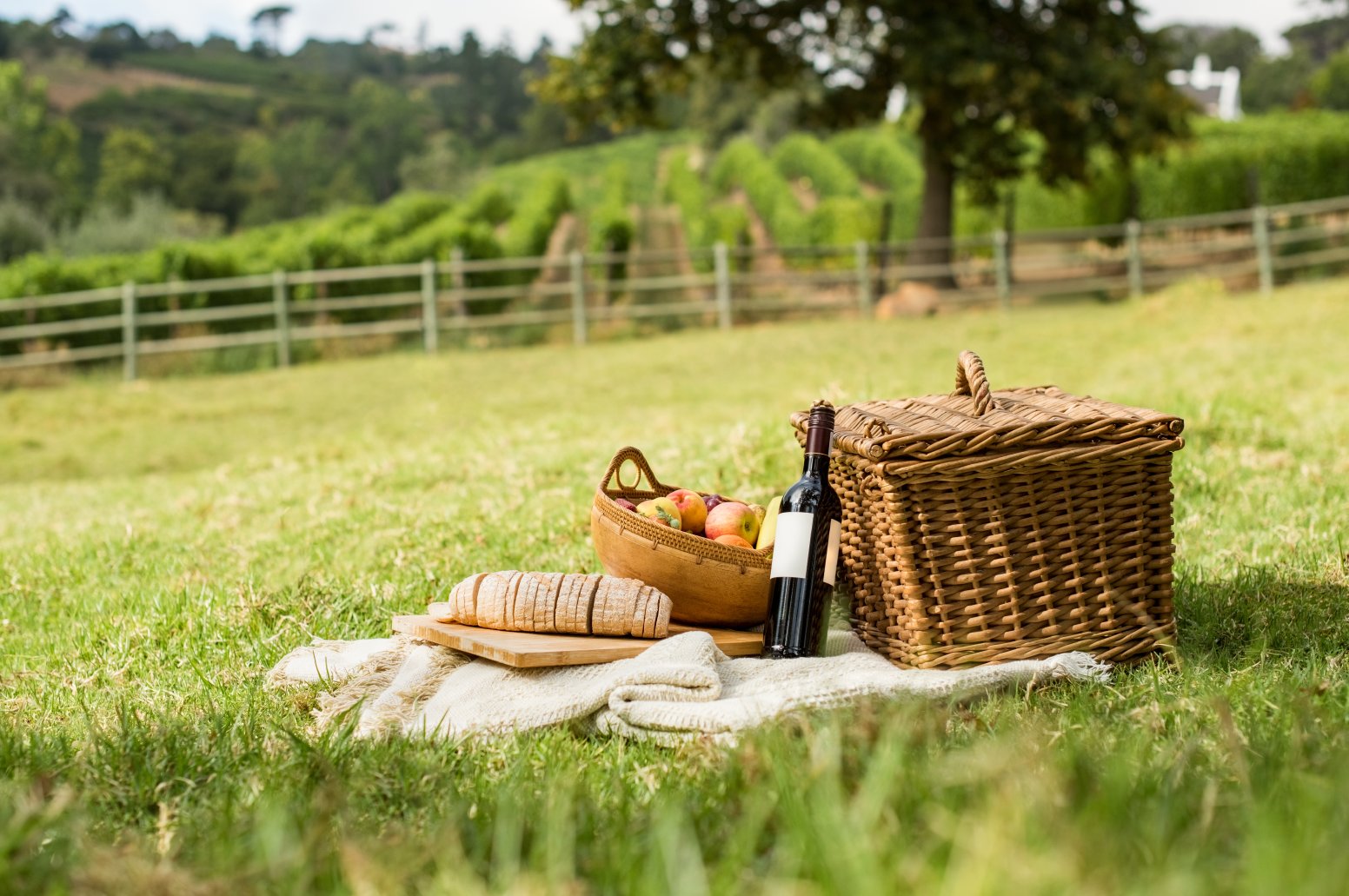 A Picnic at the Château in Vérac | France Private Tour