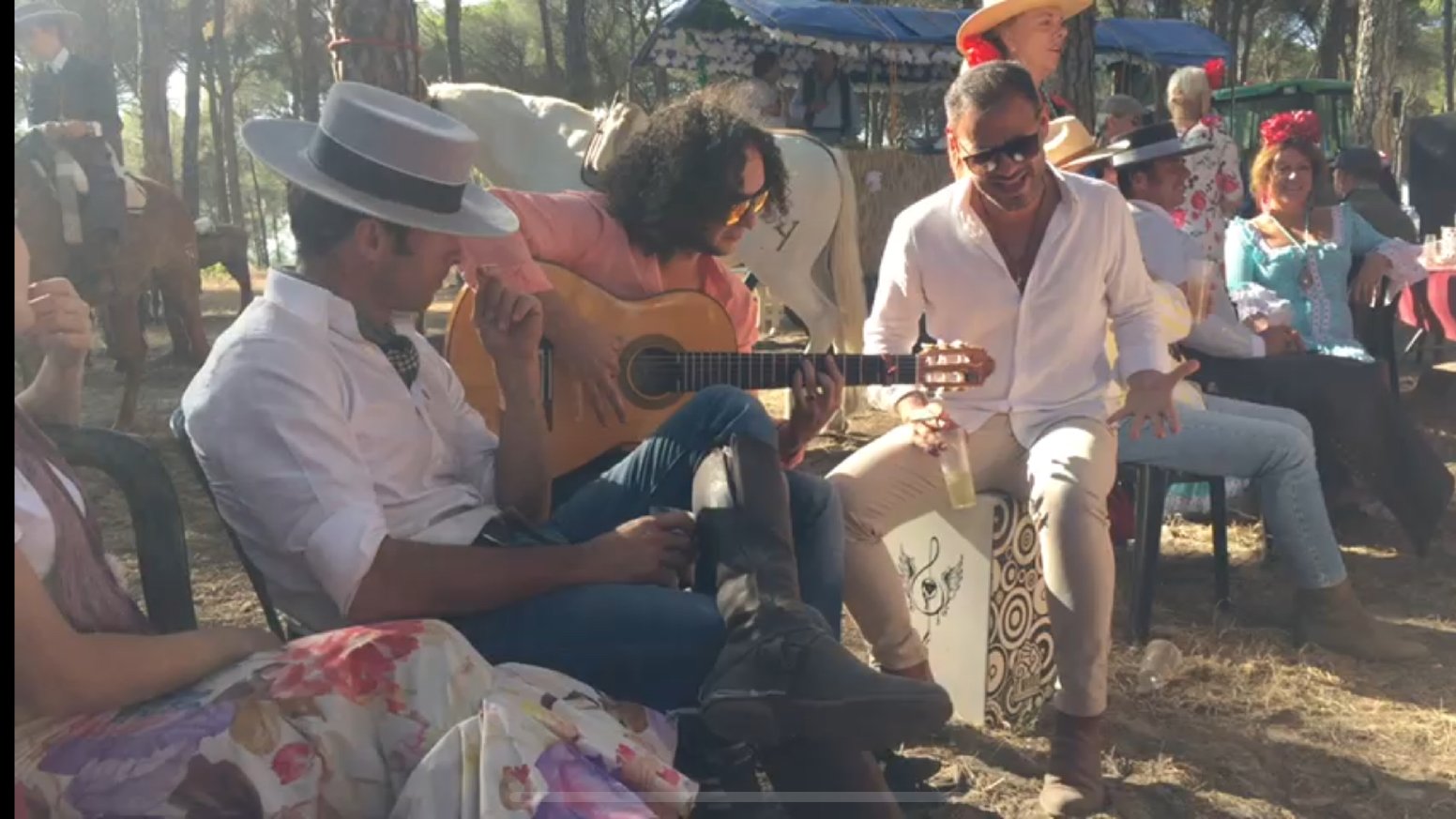 The Passion of Flamenco