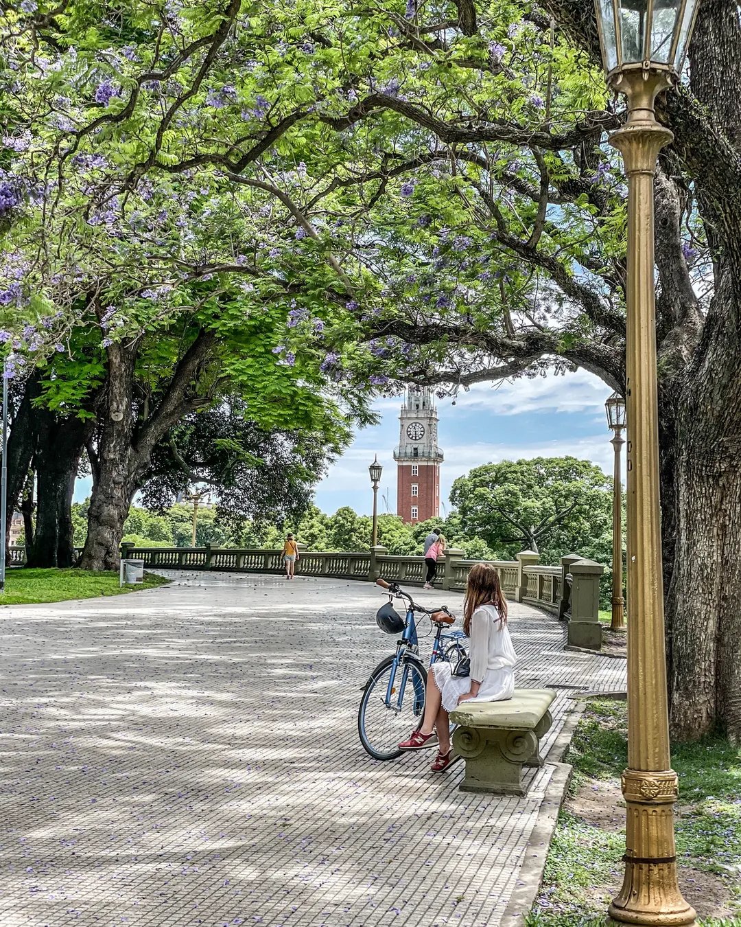 Politics On Foot in Buenos Aires | Argentina Private Tour