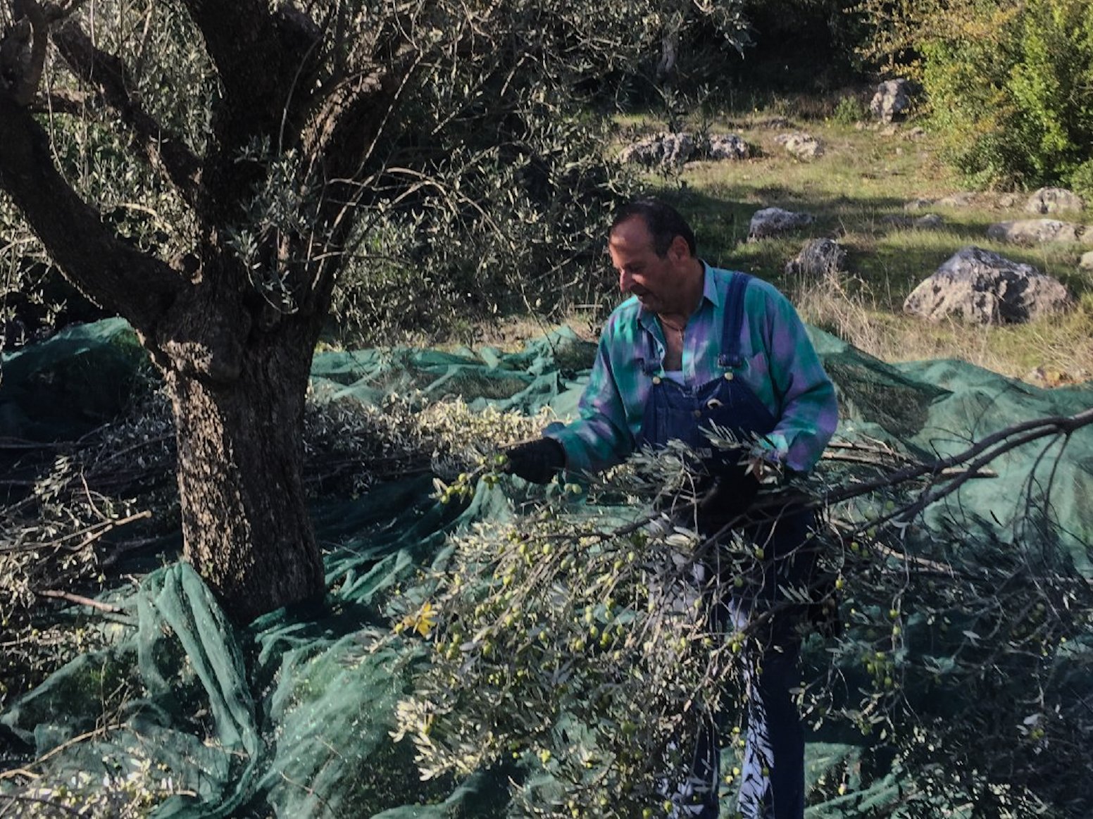 A Farmhouse in the Peloponnese in Lyrkeia | Greece Shared Tour