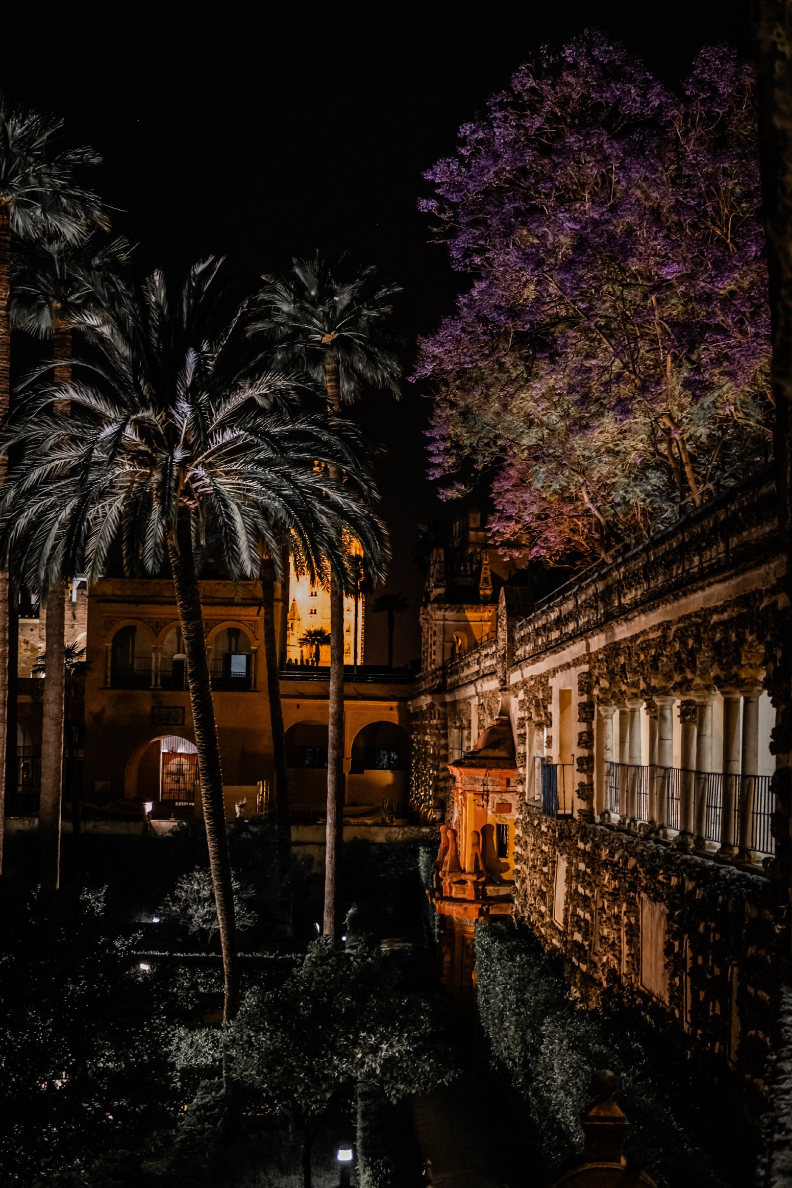 Night at the Alcazar in Seville | Spain Private Tour