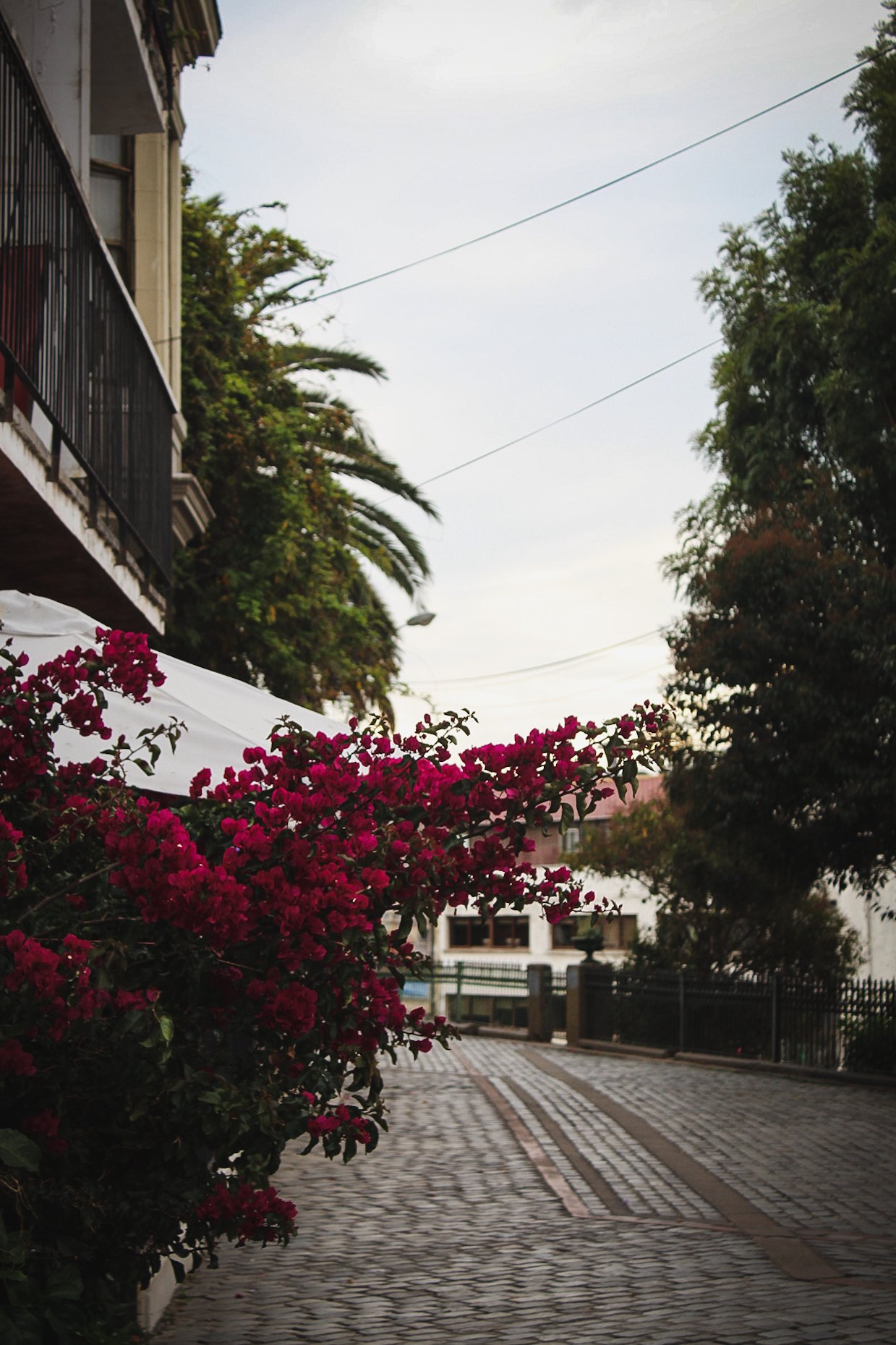 Valparaíso: Exposing Contrasts in Valparaíso | Chile Private Tour