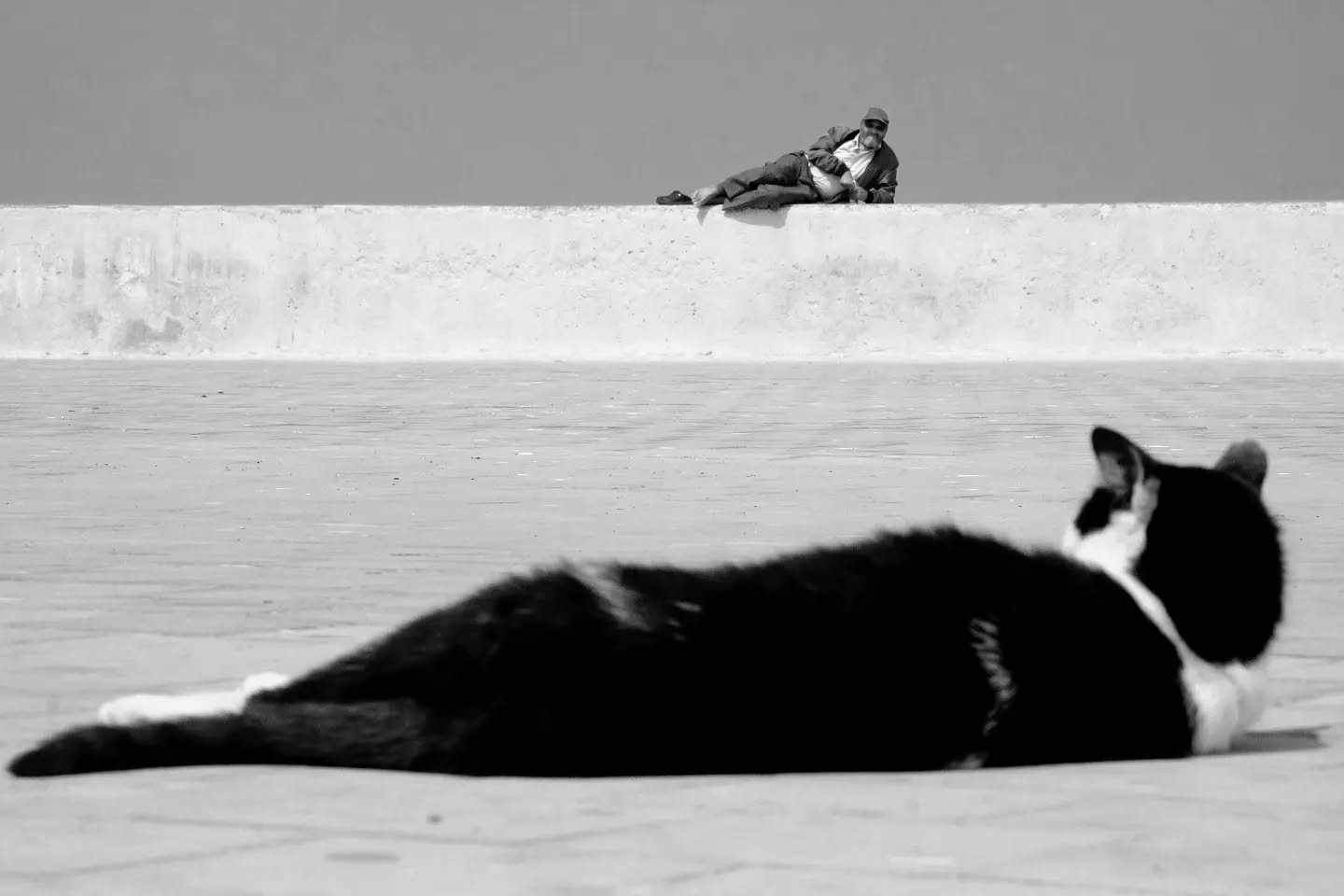 Mirroring Essaouira's Soul in Essaouira | Morocco Shared Tour