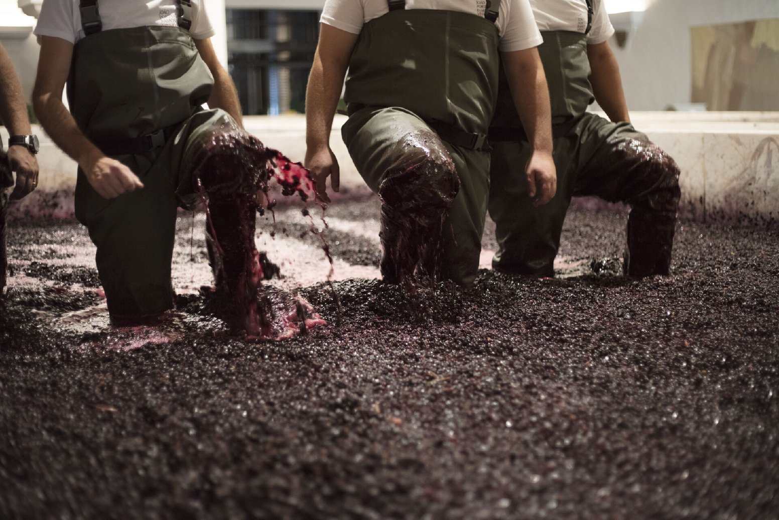 Douro Harvest Rituals in Pinhão | Portugal Private Tour