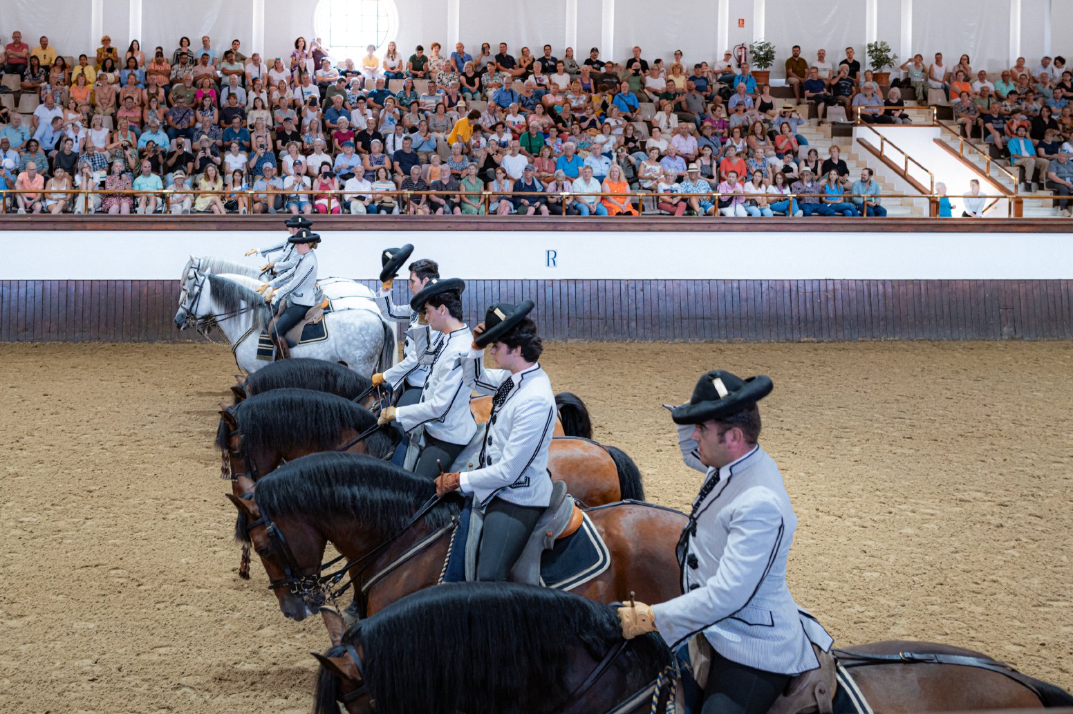 The Grand Elegance of Jerez in Jerez de la Frontera | Spain Private Tour