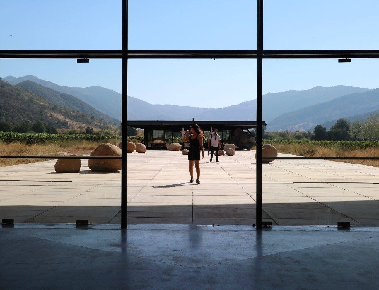 Millahue: Chile’s Golden Place in Santiago | Chile Private Tour