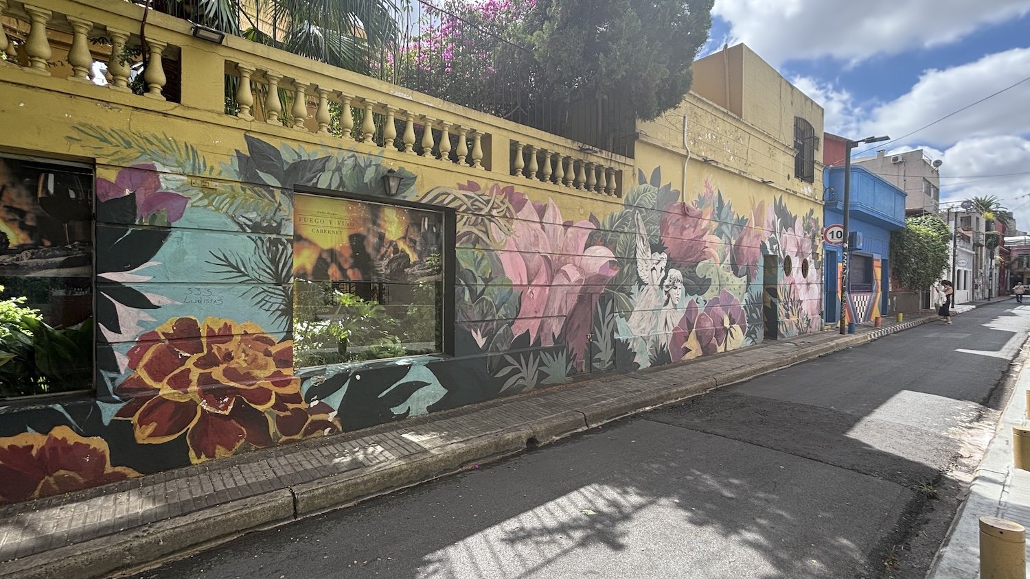 Let The Walls Speak in Buenos Aires | Argentina Private Tour