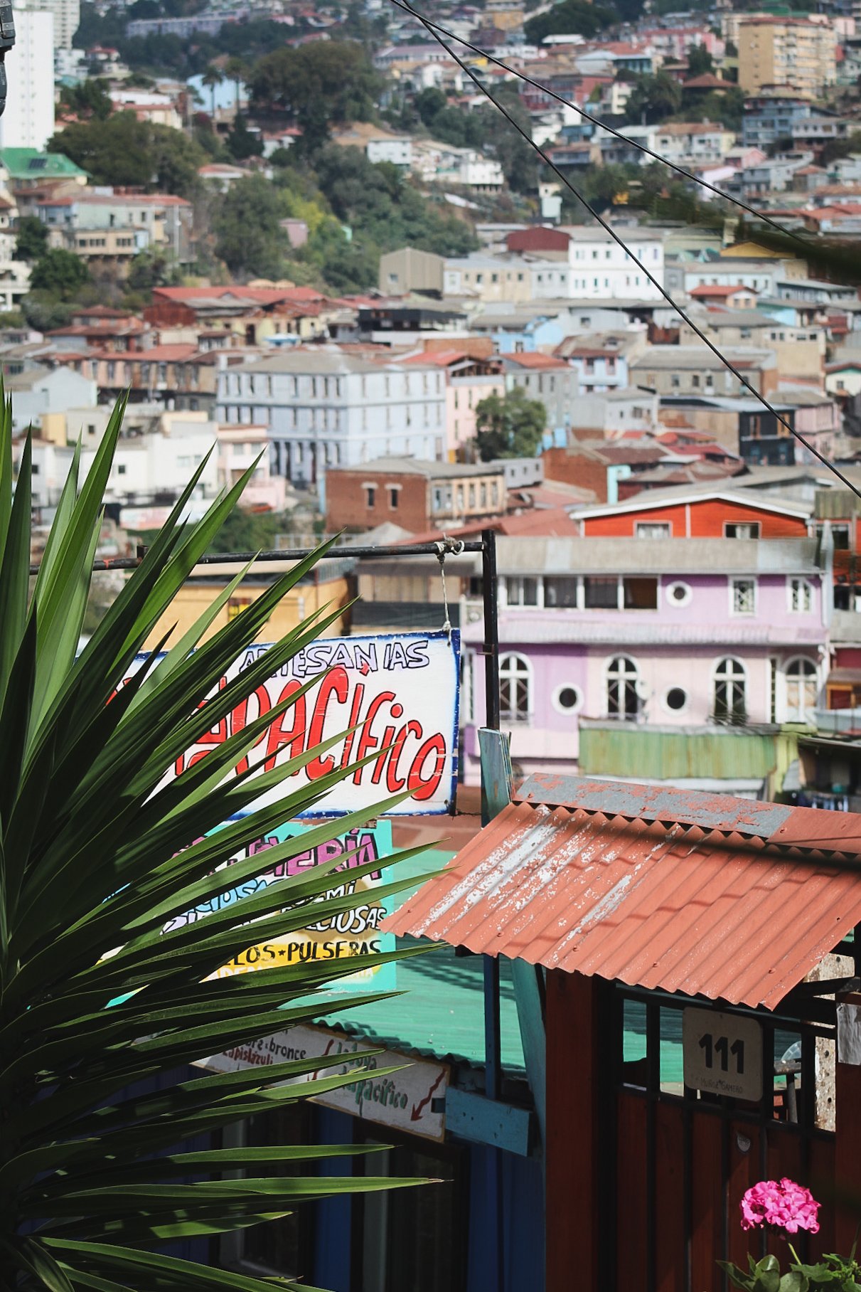 Framing Playa Ancha in Valparaíso | Chile Private Tour