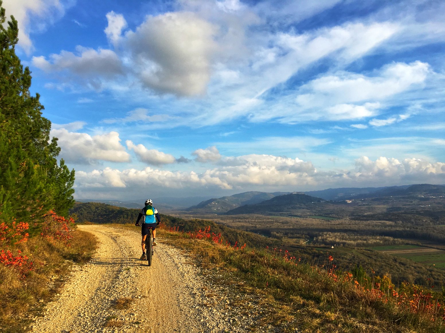 Trails, Vines & Stone Towns in Motovun | Croatia Private Tour