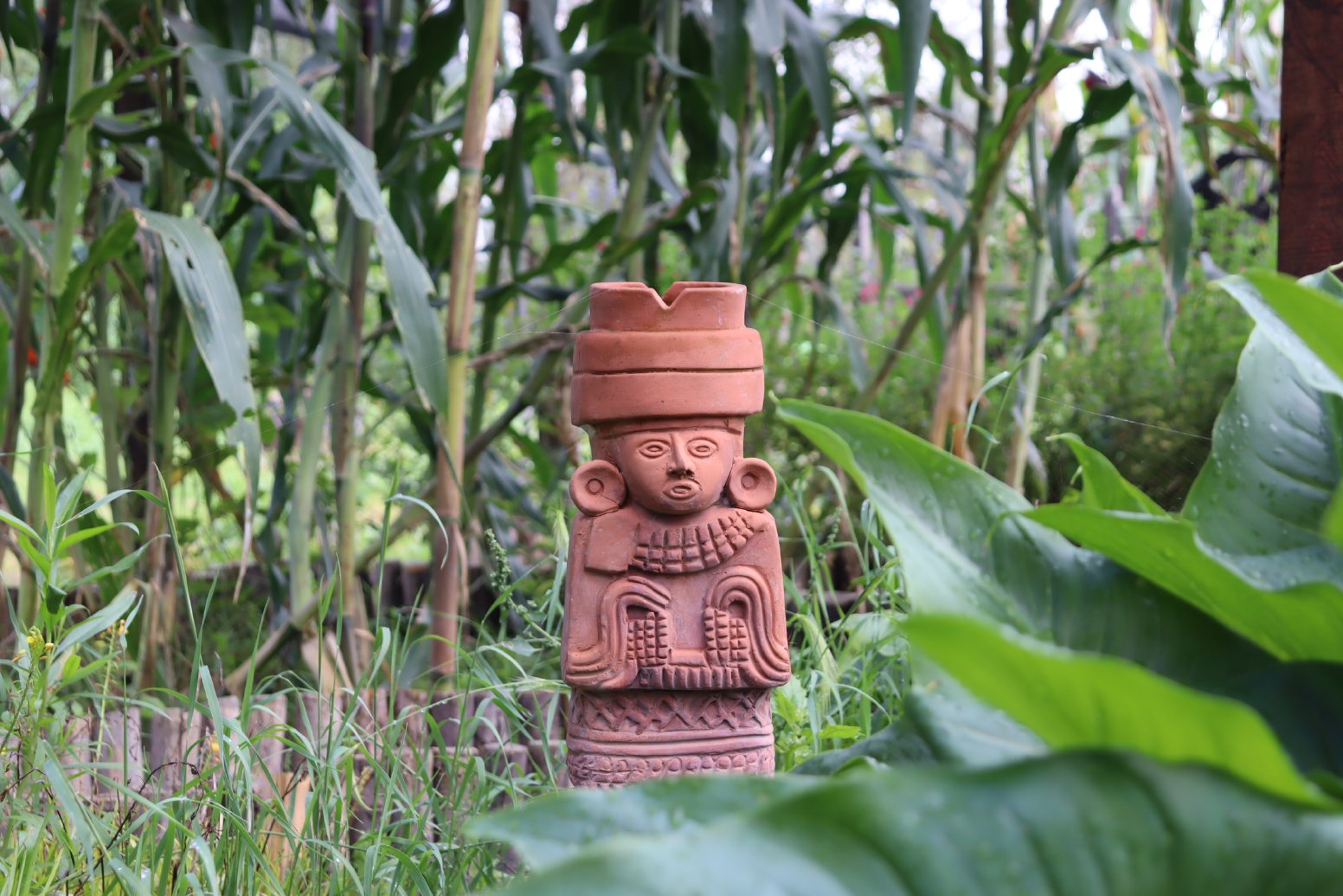 Cayuco to the Chinampa in Mexico City | Mexico Private Tour