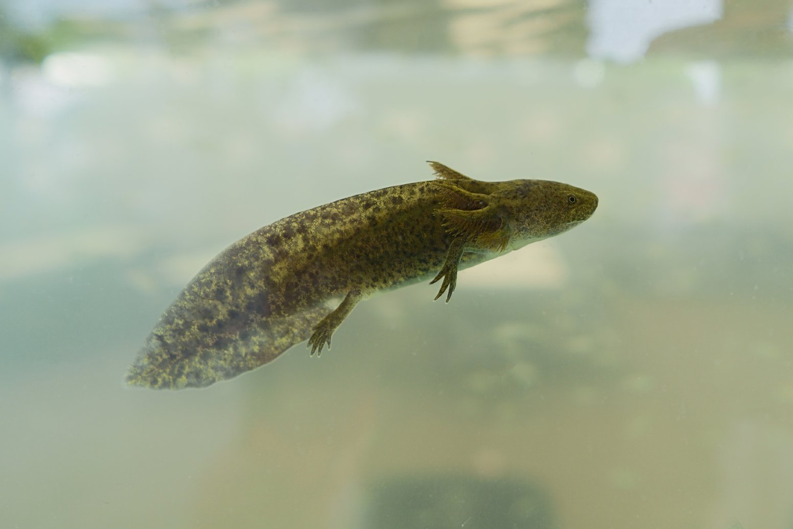 Cayuco to the Chinampa in Mexico City | Mexico Private Tour