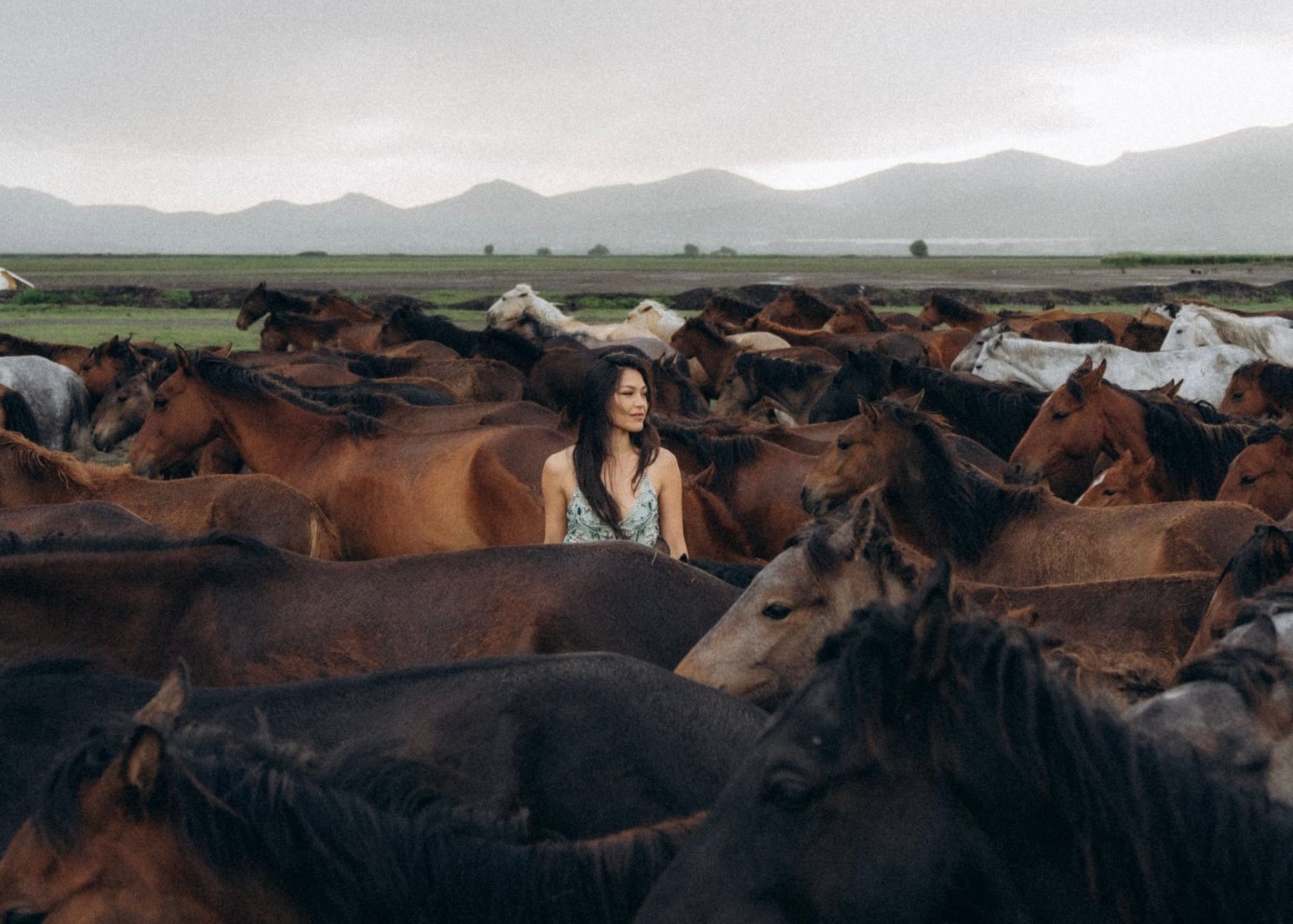 Sunset With Wild Yilki Horses in Göreme | Türkiye Private Tour