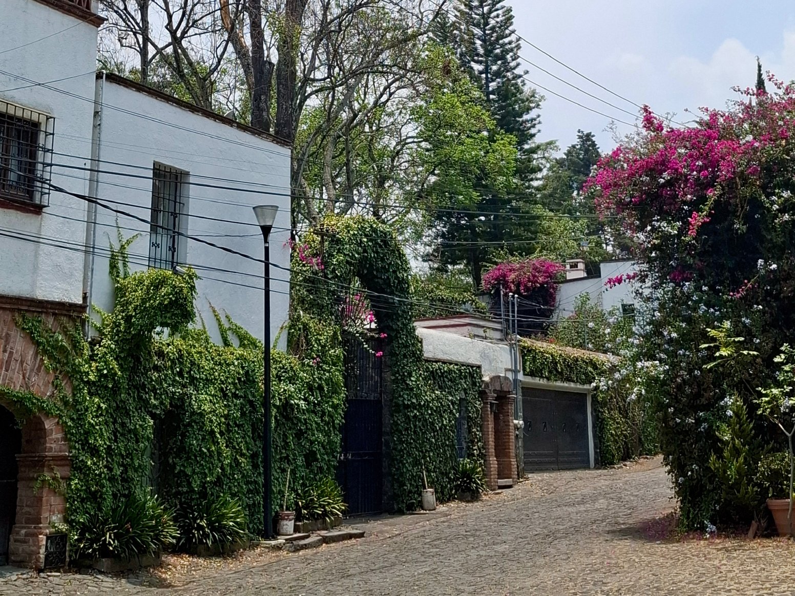 Bougainvillea & Baroque in Mexico City | Mexico Shared Tour