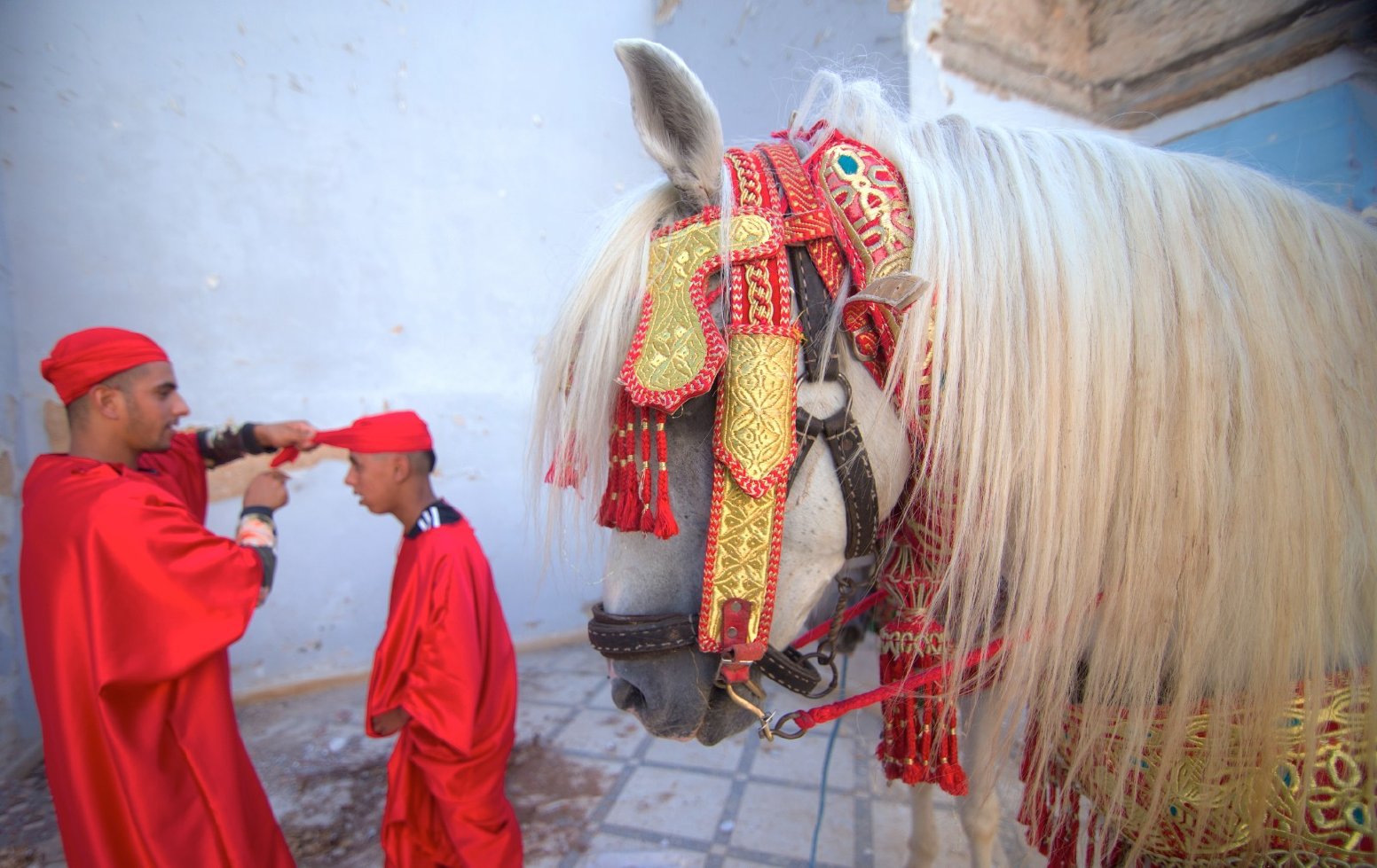 Tradition + Modernity in Fes in Fes | Morocco Private Tour