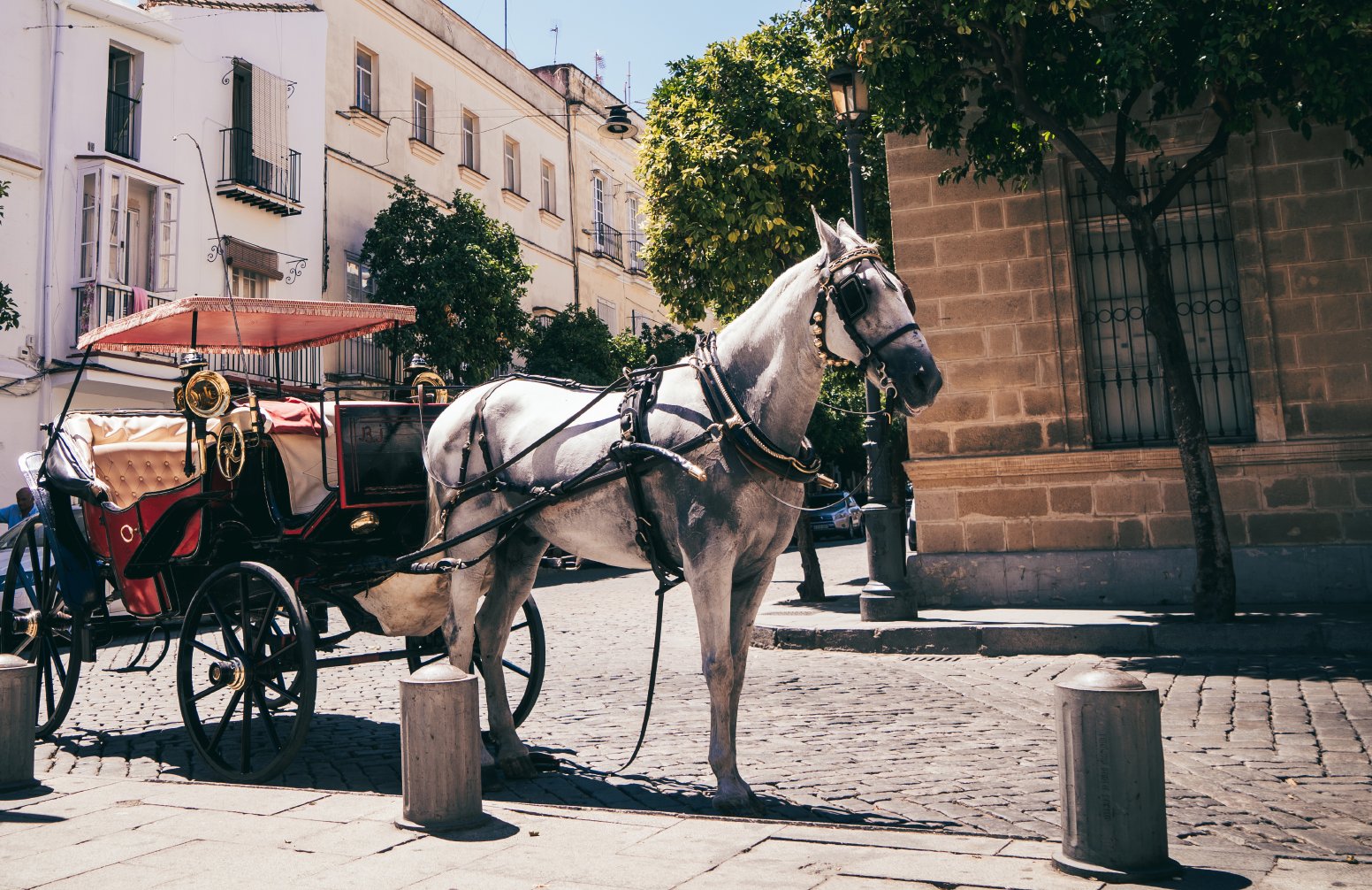 Seeking (Liquid) Gold in Jerez in Jerez de la Frontera | Spain Private Tour
