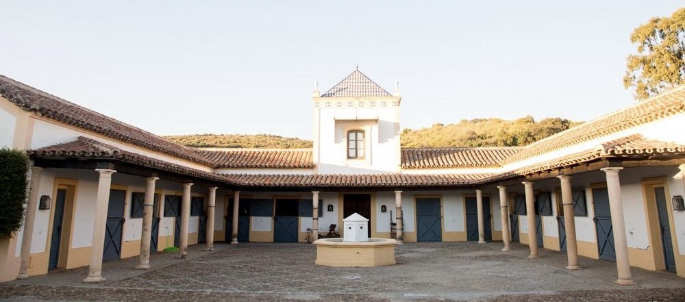 Legacy of the Toro Bravo in Castilblanco de los Arroyos | Spain Private Tour