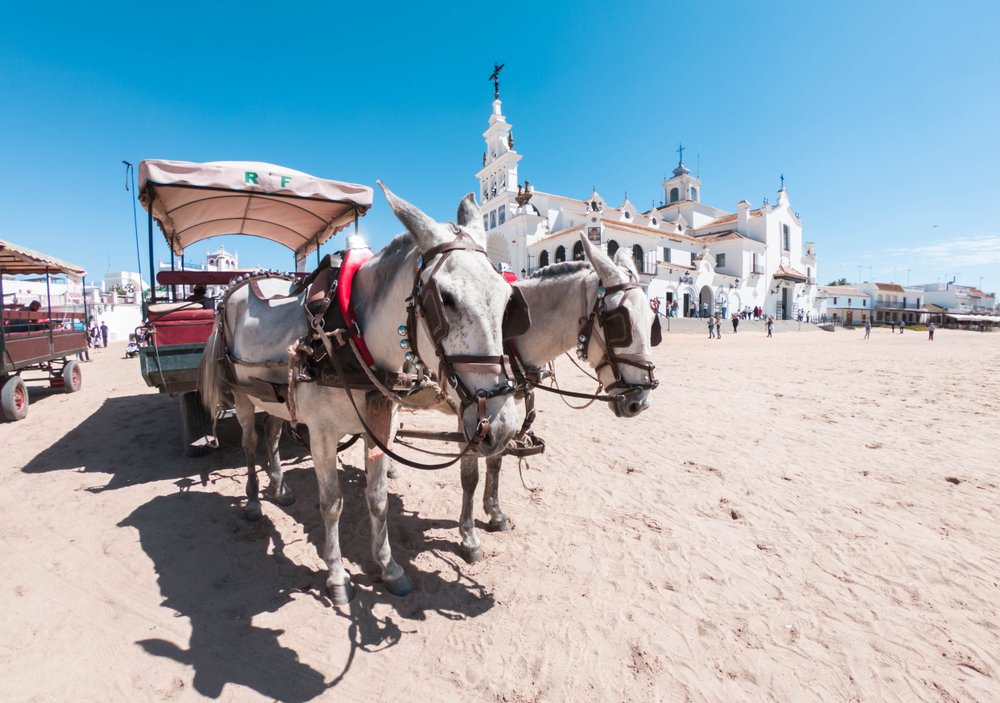 El Rocio Brotherhood Visit 