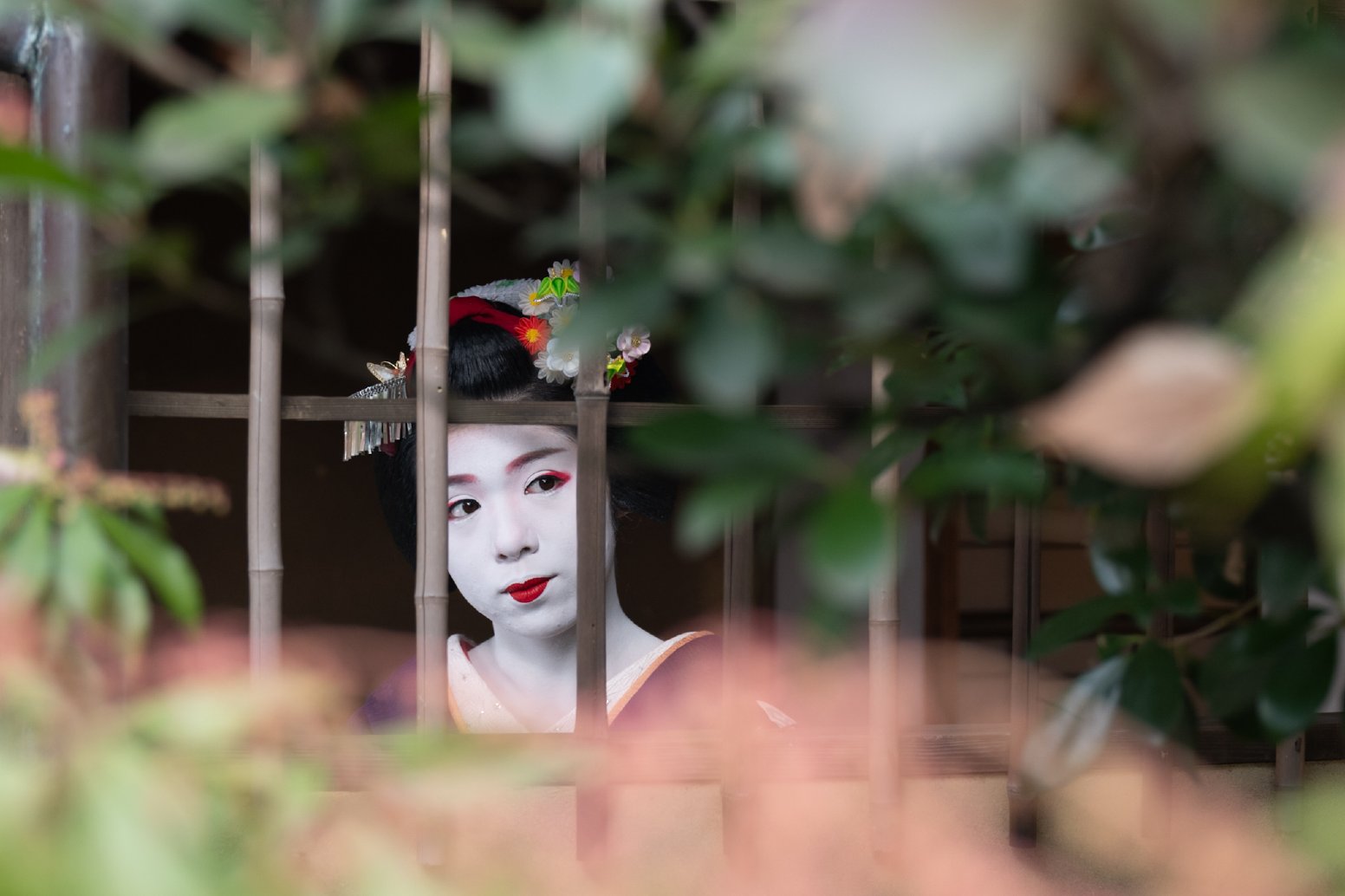 Portrait of a Maiko in Kyoto | Japan Private Tour
