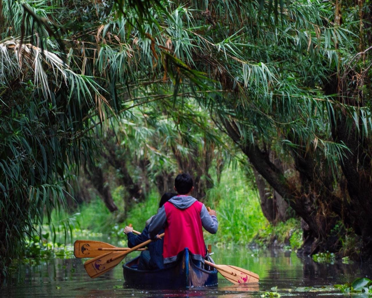 Ancestral Canals at Dawn in Mexico City | Mexico Private Tour