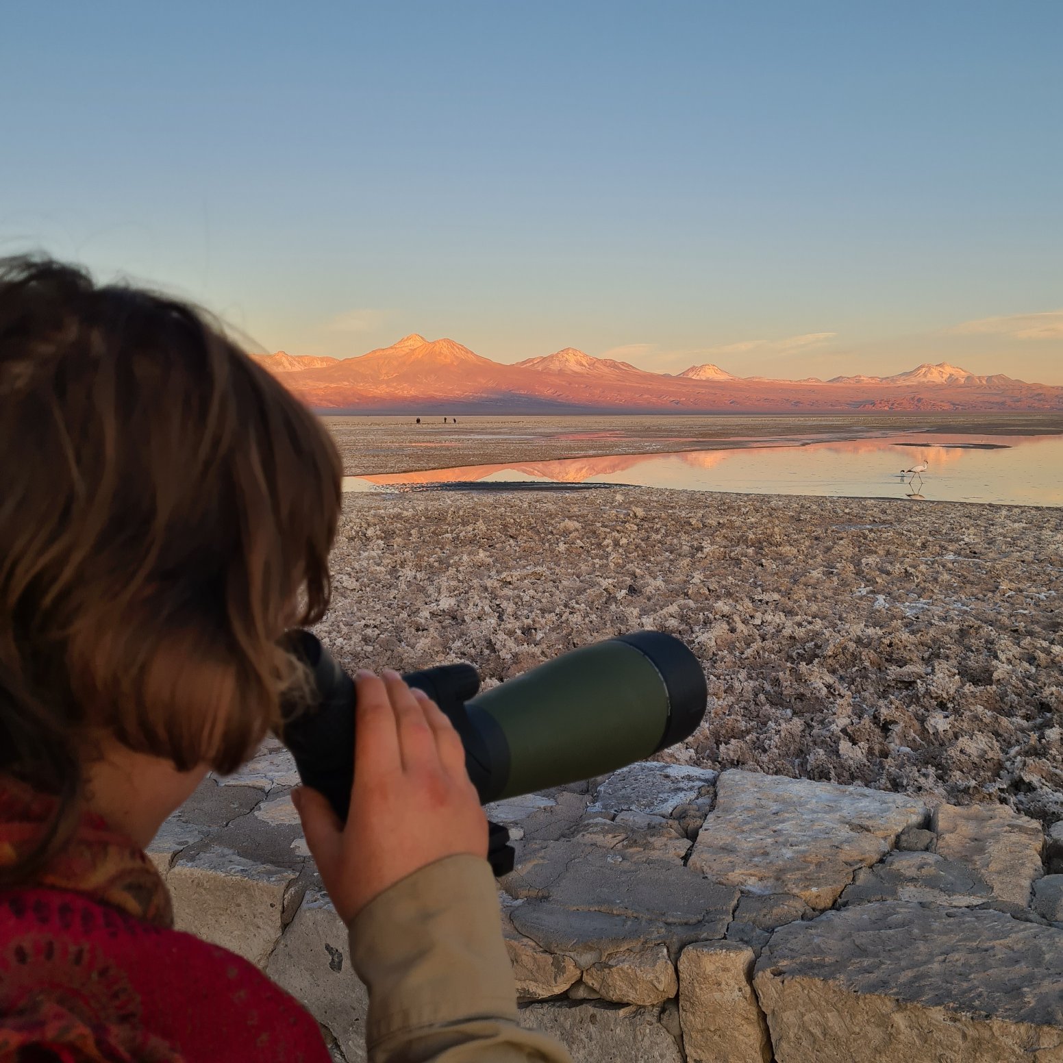 Birds of the Desert in San Pedro de Atacama | Chile Private Tour