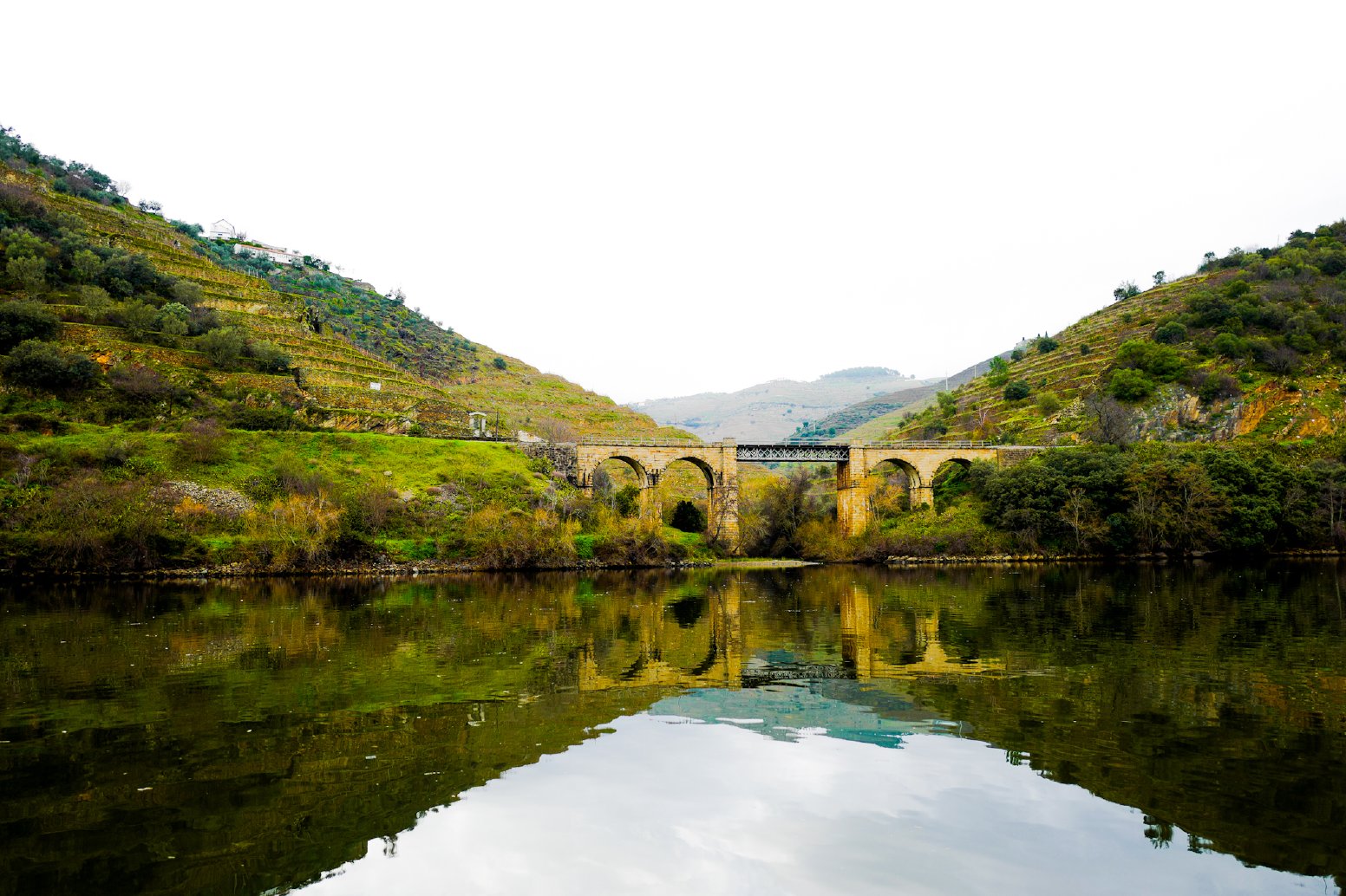 Built and Grown in the Douro in Vila Real | Portugal Private Tour