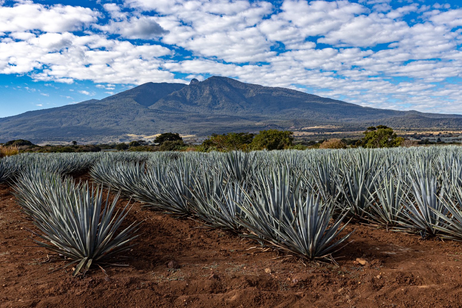 Where the Pyramids Are Round in Guachimontones | Mexico Private Tour