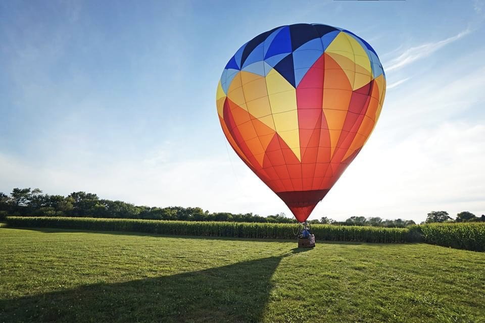 Floating Over Vega de Carmona in Carmona | Spain Private Tour