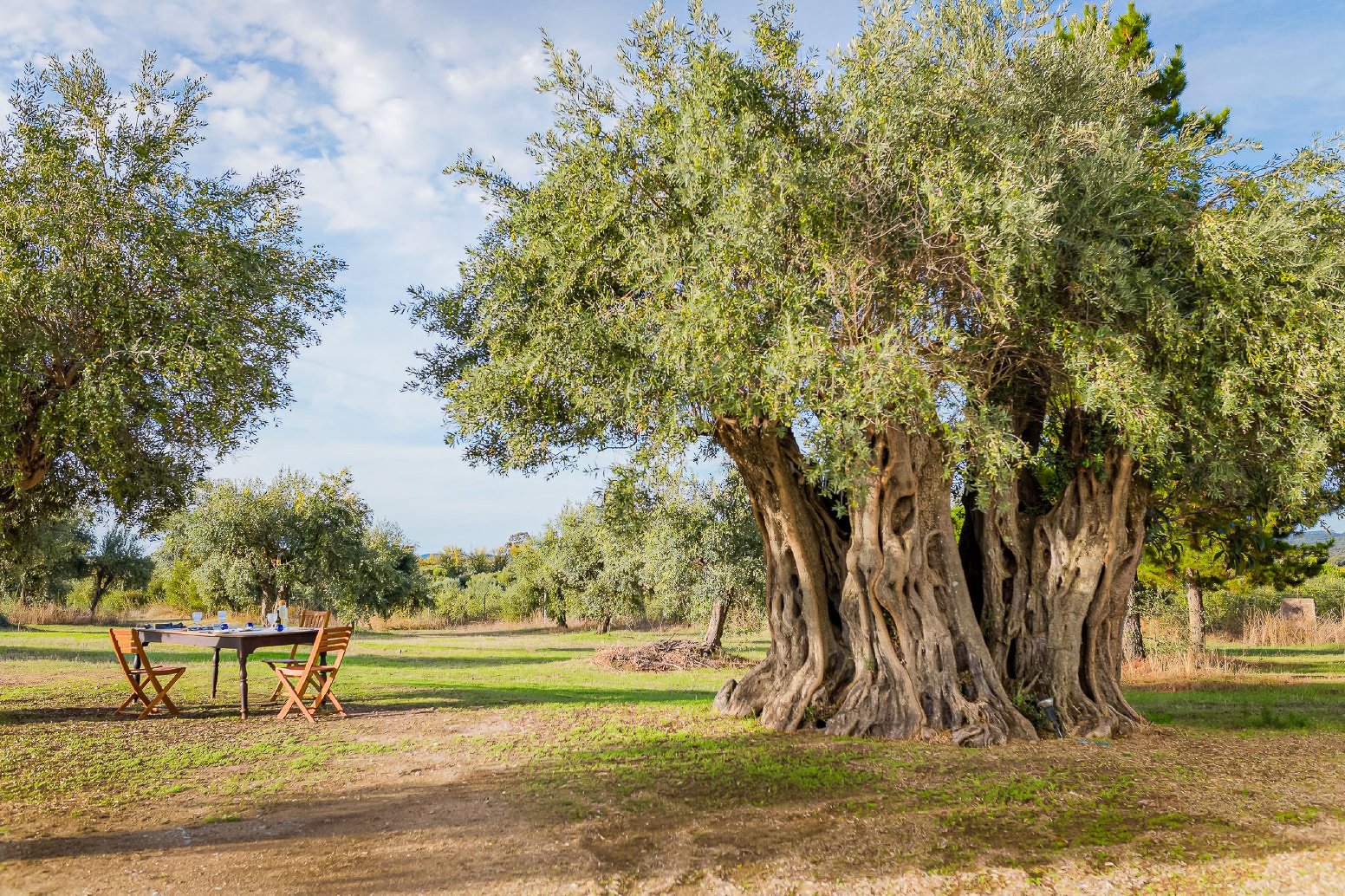 An Alentejo Love Story in Evora | Portugal Private Tour