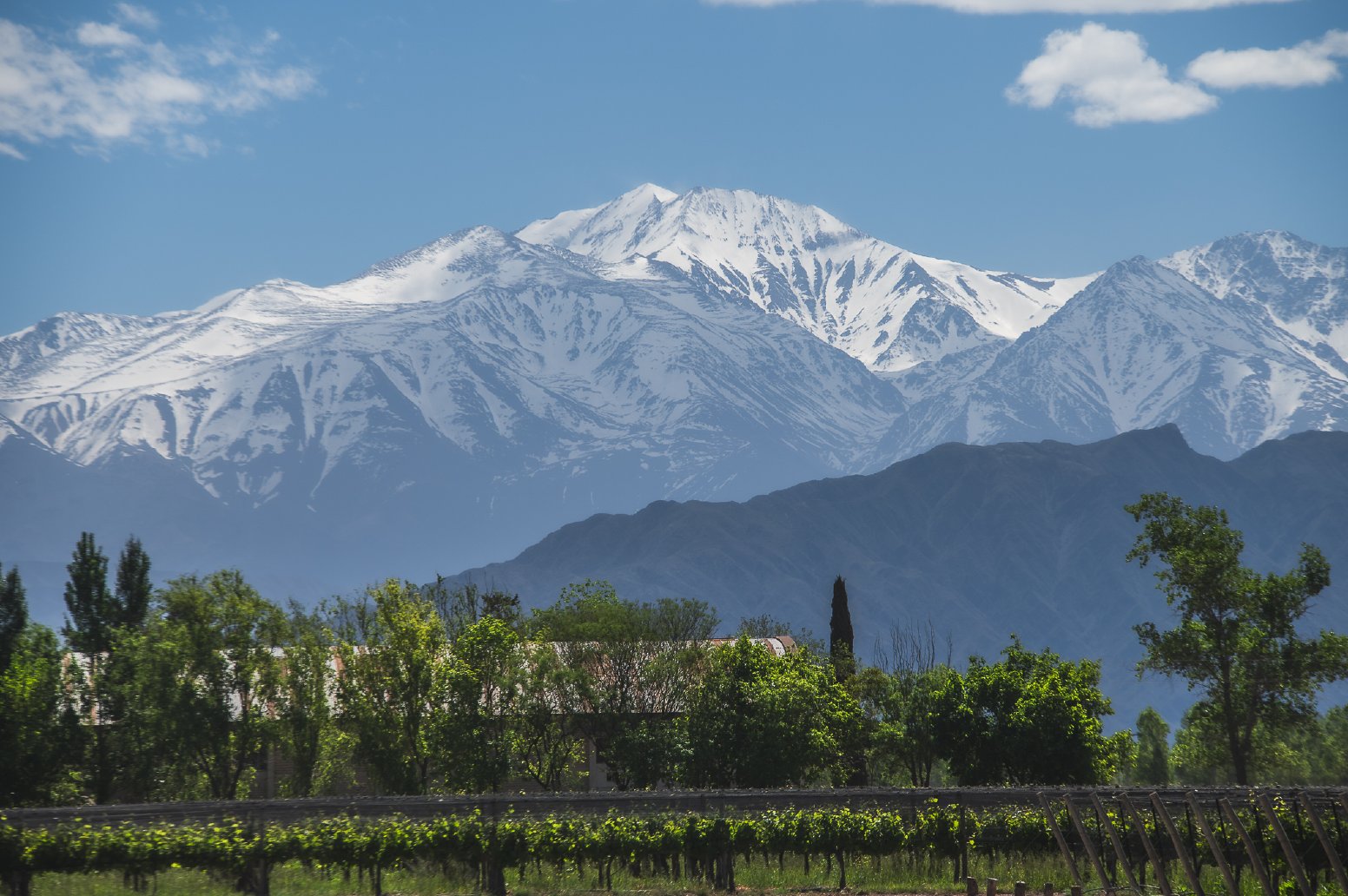 Chocolate Over Wine in Maipú in Mendoza | Argentina Private Tour